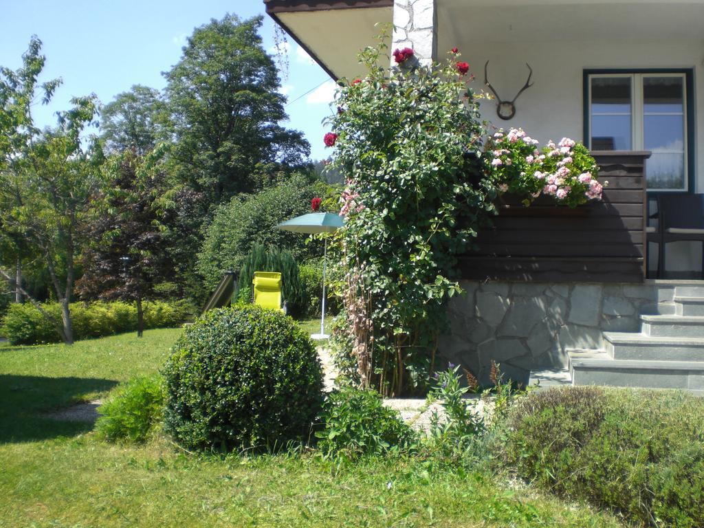 Ferienwohnung Szoeky Bad Mitterndorf Εξωτερικό φωτογραφία