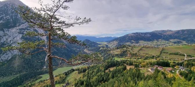 Ferienwohnung Szoeky Bad Mitterndorf Εξωτερικό φωτογραφία