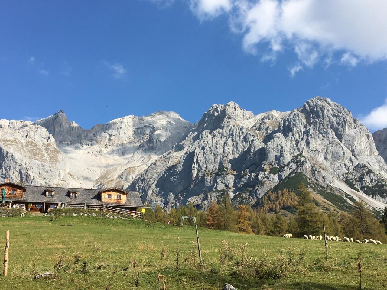 Ferienwohnung Szoeky Bad Mitterndorf Εξωτερικό φωτογραφία
