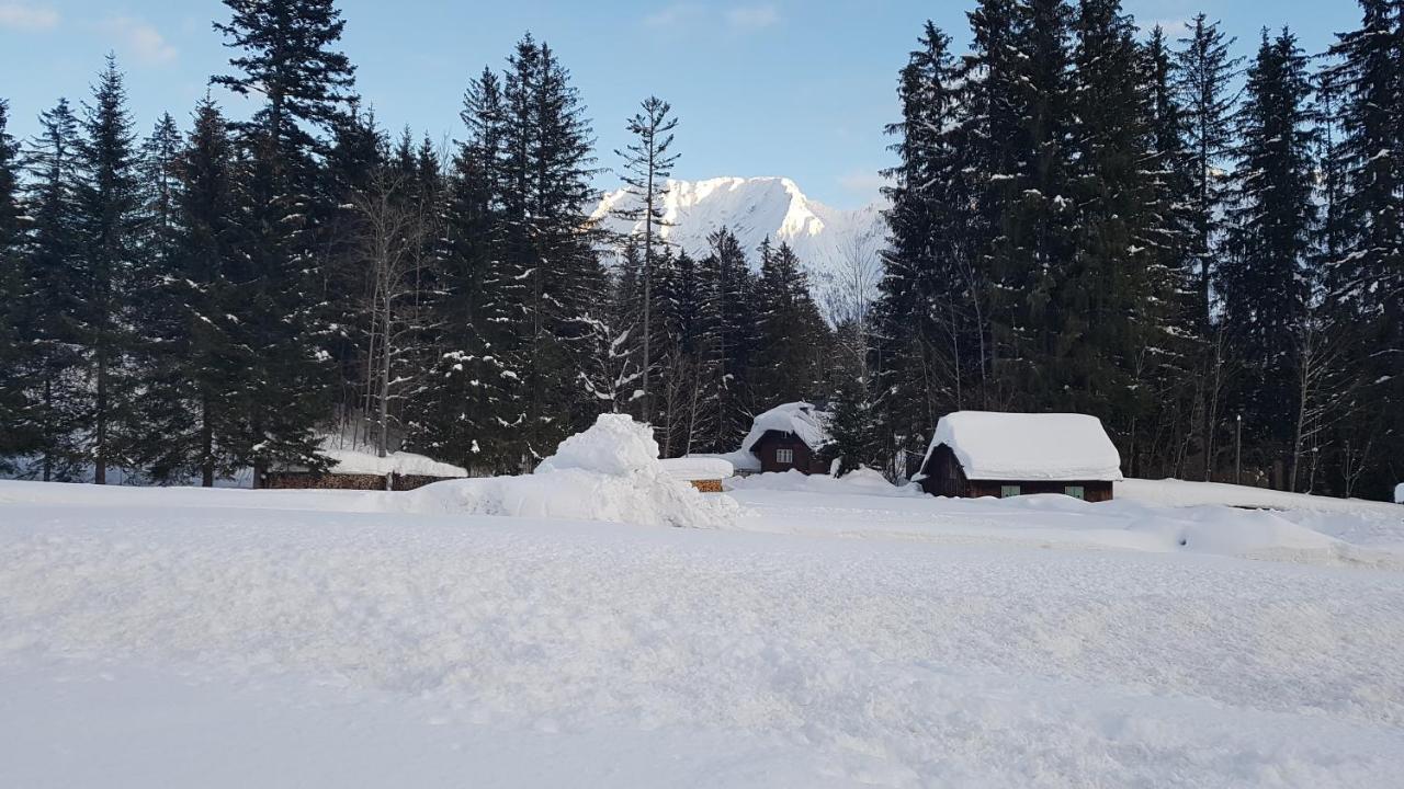 Ferienwohnung Szoeky Bad Mitterndorf Εξωτερικό φωτογραφία